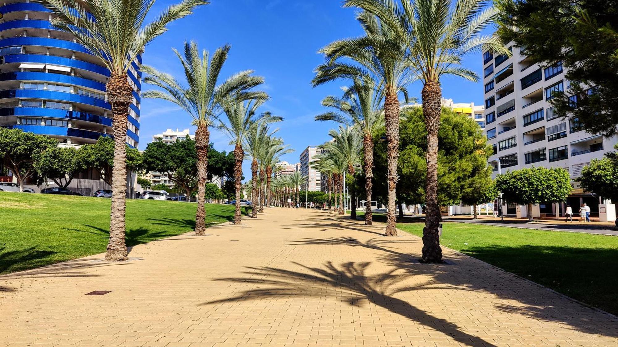 Cala Alta Relax Apartment Benidorm Luaran gambar